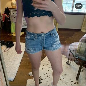 American eagle distressed shorts